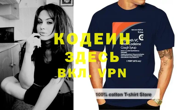 шишки Бородино