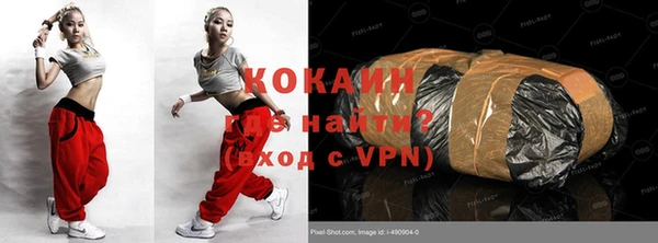 шишки Бородино
