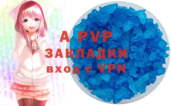 шишки Бородино