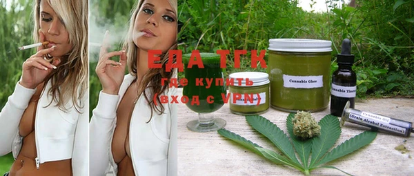 шишки Бородино