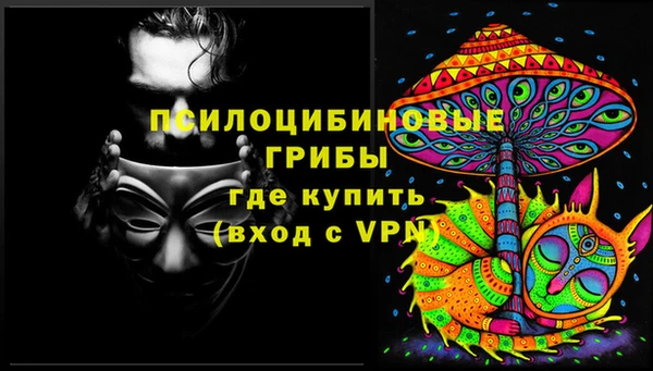 шишки Бородино
