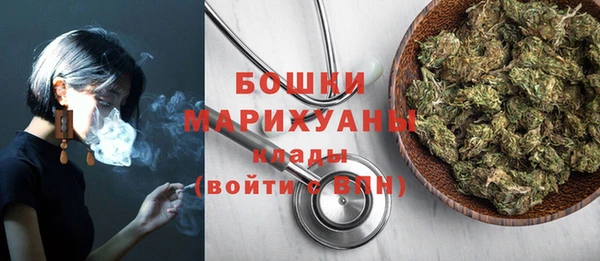 шишки Бородино