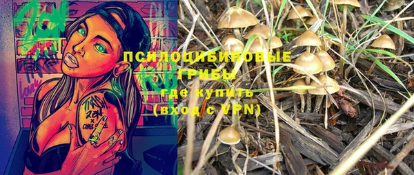 шишки Бородино
