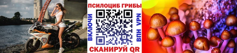 закладки  Киселёвск  Галлюциногенные грибы GOLDEN TEACHER 