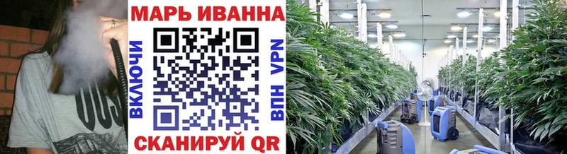 продажа наркотиков  Киселёвск  Каннабис AK-47 
